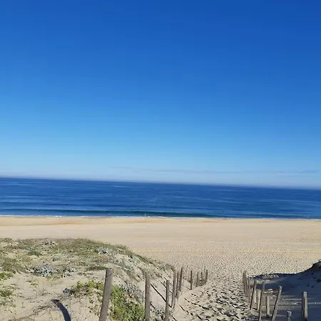 Flat Behind The Dune In *