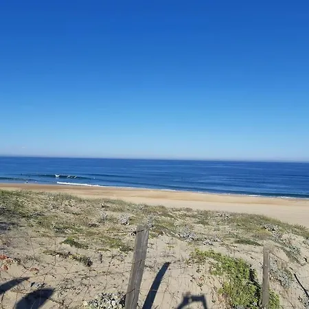 Flat Behind The Dune In Apartamento