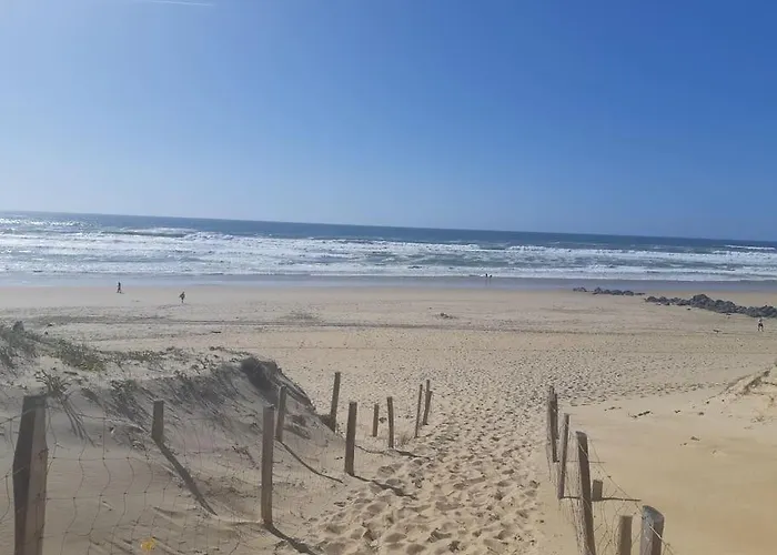 Appartement Flat Behind The Dune In