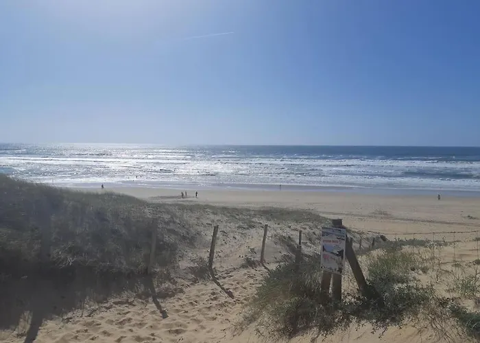 Appartement Flat Behind The Dune In *