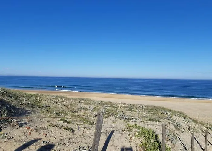 Flat Behind The Dune In Appartement